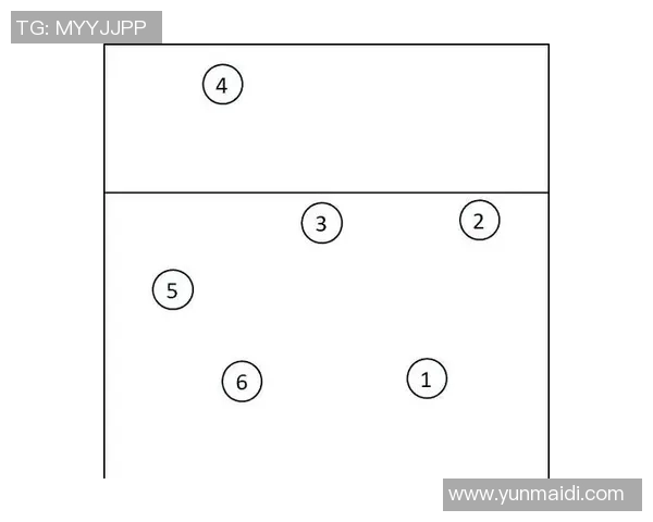 武汉排球队整体压制打法深度分析与战术解读