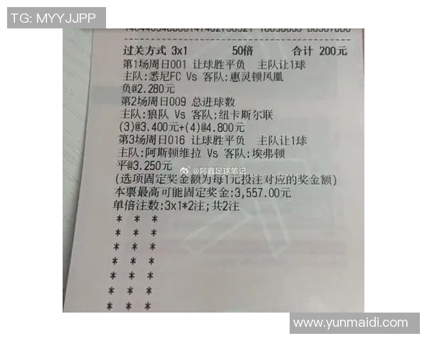 惠灵顿凤凰与悉尼FC阵容分析及比赛前瞻探讨