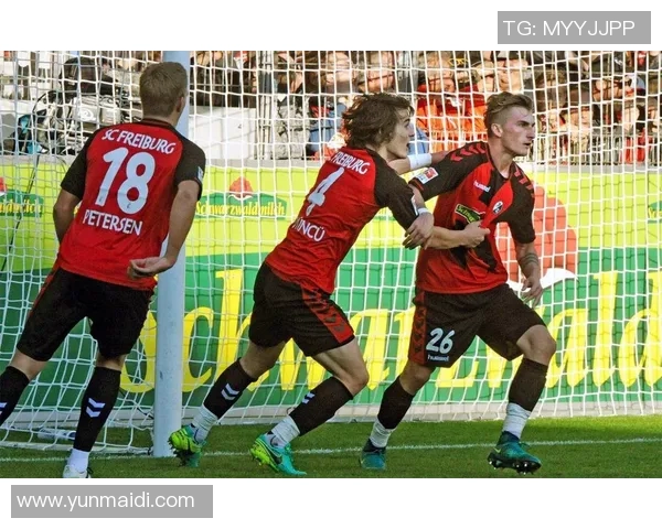 波鸿与汉诺威9的激烈对决谁能在这场比赛中笑到最后